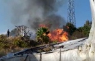 Alanya'da çalılık alanda korkutan yangın