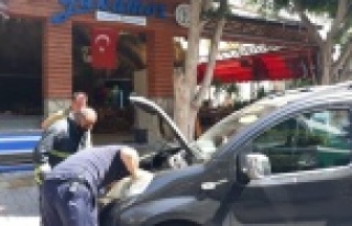 Alanya'da itfaiyeden kedi kurtarma operasyonu