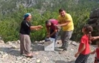 Alanya'da keklikler doğaya salındı