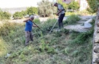 Alanya'da mezarlıklara bakım
