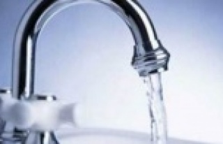 Alanya halkını canından bezdiren sorun