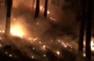 Alanya'nın Söğüt Yaylası'nda korkutan...