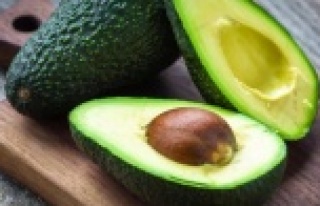 Alanya'nın vitamin deposu Avokado'ya yoğun...