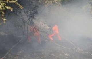 Alanya’da çalılık alanda yangın paniği