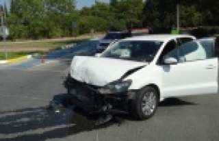 Antalya'da mal canın yongası dedirten görüntüler