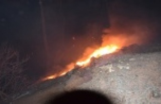 Antalya'daki orman yangınının ilerlemesi durduruldu