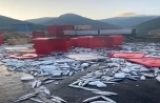Dorse kapağı açıldı, tonlarca balık yola savruldu