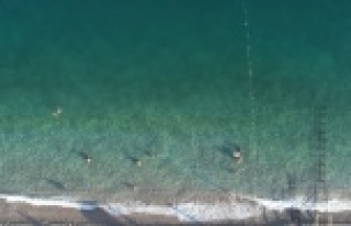 Görenleri şaşırtan yeşil denize bilimsel açıklama