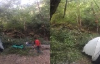 Kampçıların üzerine ağaç devrildi: 1'i...
