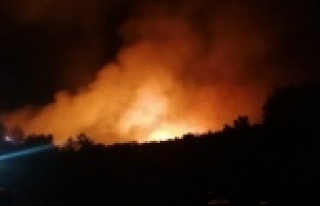 Komşuda yerleşim alanlarını tehdit eden orman...