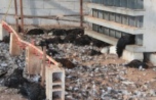 Kümes hayvanlarının telef olduğu çiftlikte yürek...