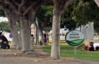 Kuzenlerin bitmek bilmeyen kavgası!