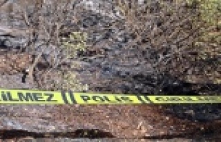 Ormanlık alanda bulunan yanmış haldeki cesedin...