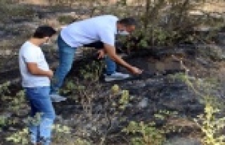 Ormanlık alanda yangın sonrası yanmış ceset bulundu