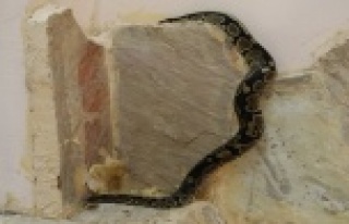 Senet mağdurlarını korkutmak için kullanılan...