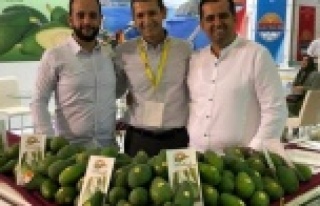 Sevilgen: Ülkeye Avokado yetmiyor