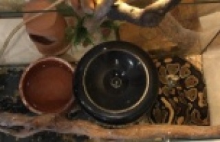 Siyanürle intihar eden adamın tefecilere borç senedi...