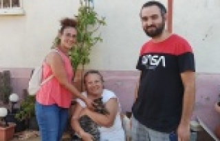 'Sokak hayvanlarının yeri sokaktır'