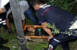 Tuvalet ihtiyacını gidermeye giderken 15 metrelik...