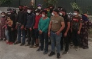 15 kişilik minibüsten 27 kişi çıktı, say say...