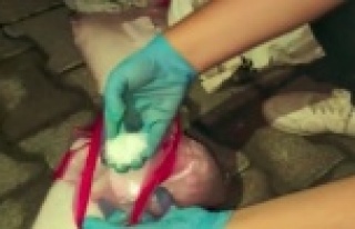 3 kilo 774 gdam metamfetamin, torbacılara ulaşmadan...