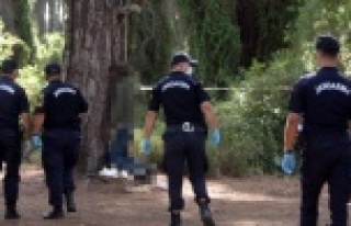 Ağaçta asılı bulunduğu ipin satın alma fişi...