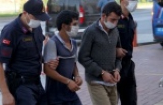 Alanya'da kameraya yakalanan avokado hırsızları...