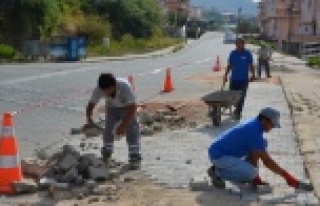 Alanya'da parke bakım ve onarım çalışması