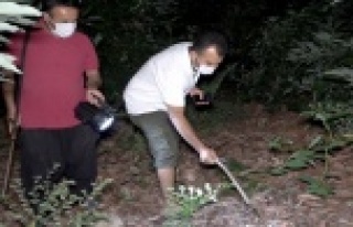 Alanya'da sabaha kadar tüfekle ve sopayla avokado...