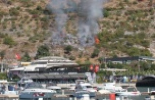 Alanya'da yürekleri ağza getiren yangın