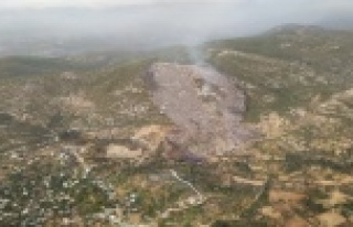 Alanya'daki orman yangınında 6 hektarlık makilik...