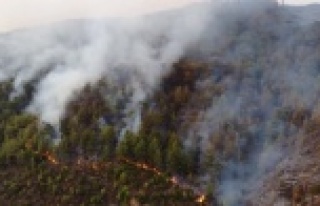 Anamur'da orman yangını! Alanya yolu kapatıldı