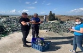 Belgesi olmadan tütün ve alkol satan işletmelere...