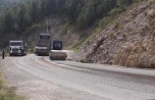 Büyükşehir Belediyesi Dim grup yolunu asfaltladı