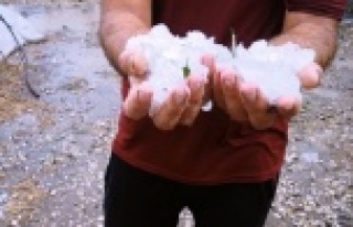 Dolu yağışı seralara zarar verdi