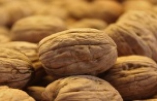 Geçen yılki fiyatla tezgâhlarda yerini alan cevize...