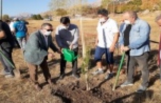 Gökbel Yaylası ağaçlandırılıyor