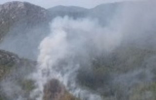 Gündoğmuş'ta korkutan orman yangını
