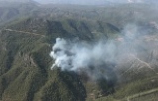 Gündoğmuş yangının bilançosu belli oldu