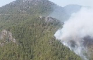 Gündoğmuş yangınından kötü haberler geliyor