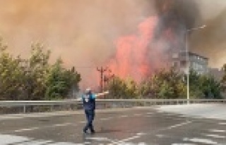 Hatay'daki orman yangını kontrol altına alındı