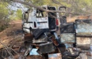 Kamyonet ve arı kovanları alev alev yandı