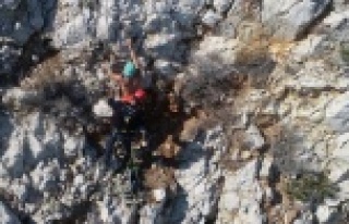 Kayalıklardan düşen turiste 6 saatlik nefes kesen...