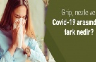 Korona virüsü nezle, grip ve alerjiden ayırt etme...
