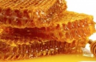 Kurak ve sıcak hava baldaki rekolteyi yüzde 25 düşürdü