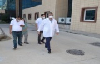 Lakadamyalı saha çalışmasında