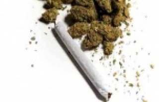 Narkotik köpeğinin tepki verdiği bagajdan 12 kilogram...