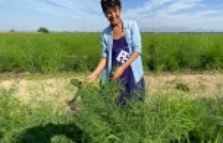 ODTÜ'lü Aslı, pazarlamayı bırakıp kuşkonmaz...