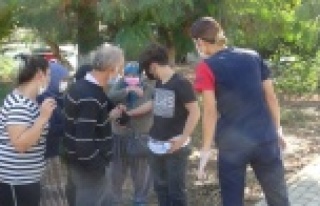 Oğlunun kaza yaptığını duyan anne olay yerinde...