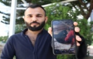 Rus otel sahibi ek süre isteyen kiracısını turistlerin...